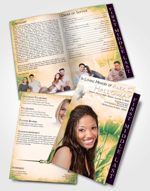 2 Page Graduated Step Fold Funeral Program Template Brochure Emerald Serenity Tulip Whisper