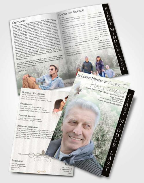 2 Page Graduated Step Fold Funeral Program Template Brochure Emerald Sunrise Snowy Love