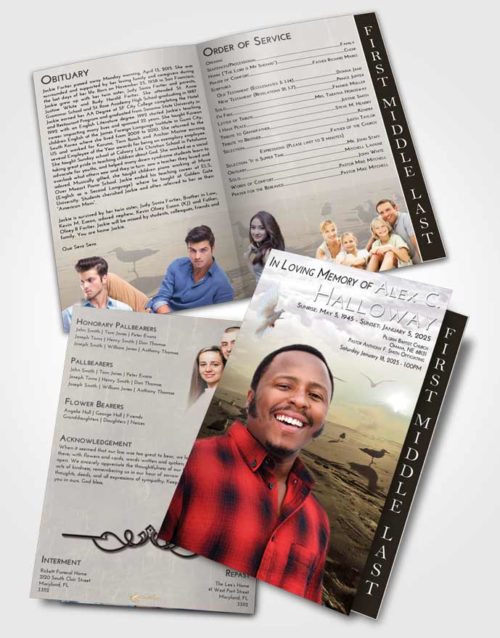 2 Page Graduated Step Fold Funeral Program Template Brochure Evening Natural Beach