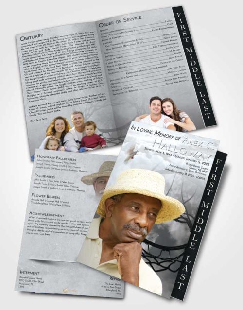 2 Page Graduated Step Fold Funeral Program Template Brochure Freedom Sky Ball
