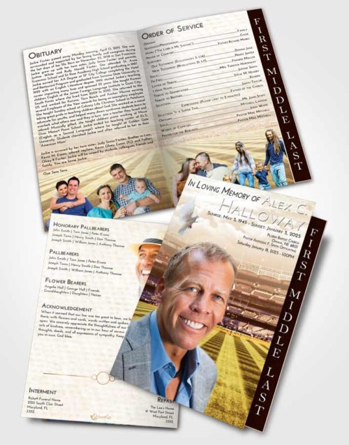 2 Page Graduated Step Fold Funeral Program Template Brochure Golden Baseball Serenity
