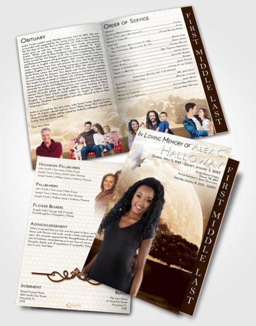 2 Page Graduated Step Fold Funeral Program Template Brochure Golden Moon Gaze
