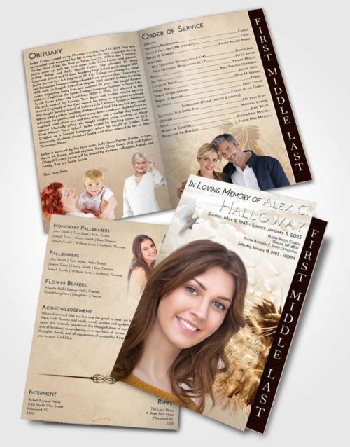 2 Page Graduated Step Fold Funeral Program Template Brochure Golden Peach Dandelion Dream