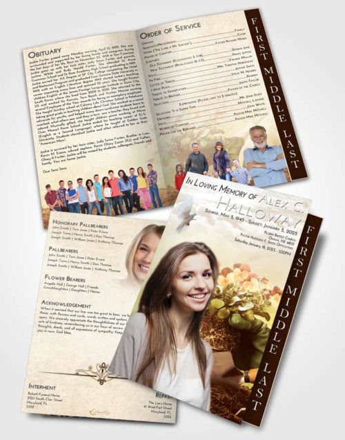 2 Page Graduated Step Fold Funeral Program Template Brochure Golden Peach Gardening Passion