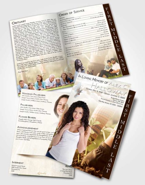 2 Page Graduated Step Fold Funeral Program Template Brochure Golden Peach Gardening Star
