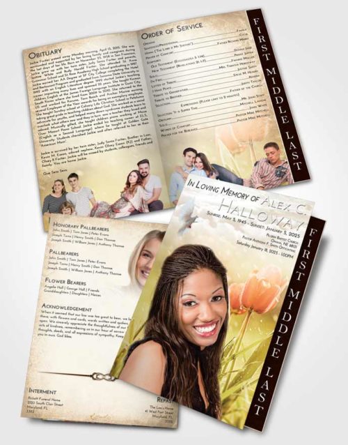 2 Page Graduated Step Fold Funeral Program Template Brochure Golden Peach Tulip Whisper