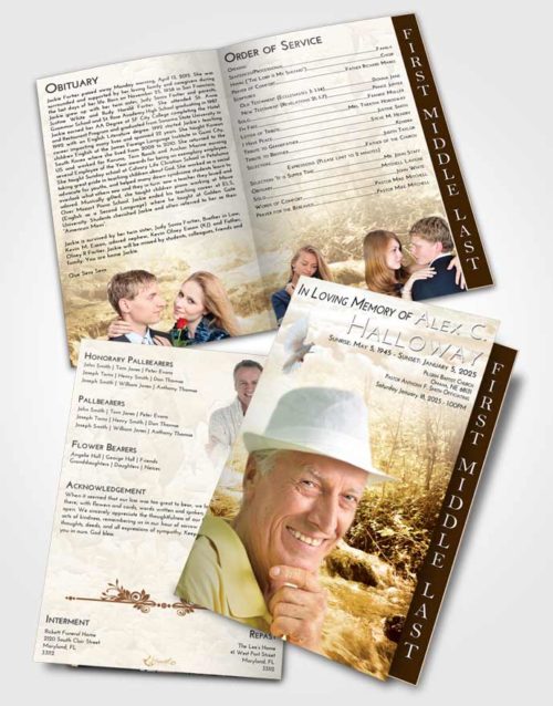 2 Page Graduated Step Fold Funeral Program Template Brochure Golden Silver Stream