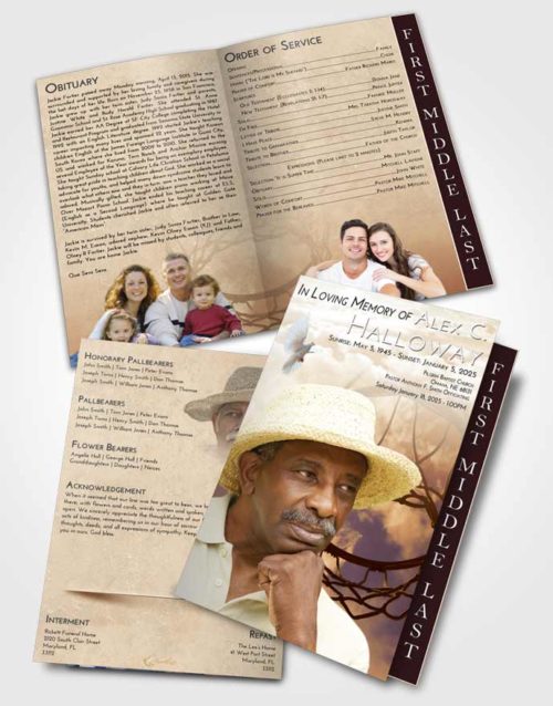 2 Page Graduated Step Fold Funeral Program Template Brochure Golden Sky Ball