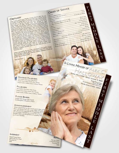 2 Page Graduated Step Fold Funeral Program Template Brochure Golden Snowy Stream
