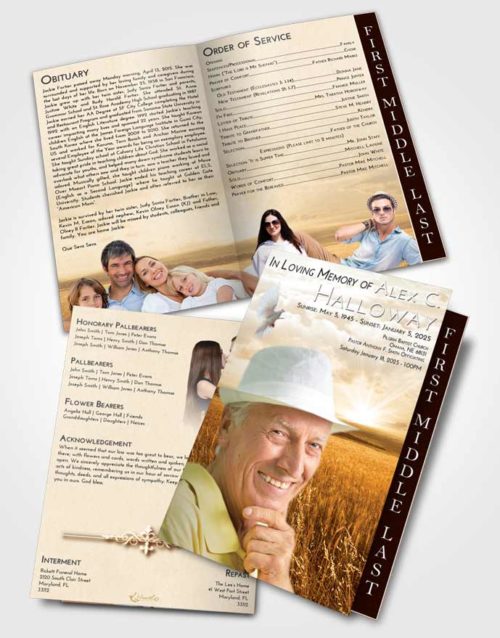 2 Page Graduated Step Fold Funeral Program Template Brochure Golden Wheat Fields