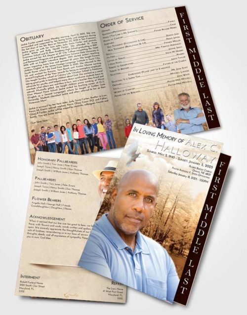 2 Page Graduated Step Fold Funeral Program Template Brochure Golden Winter Pond