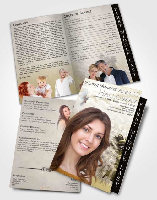 2 Page Graduated Step Fold Funeral Program Template Brochure Harmony Dandelion Dream