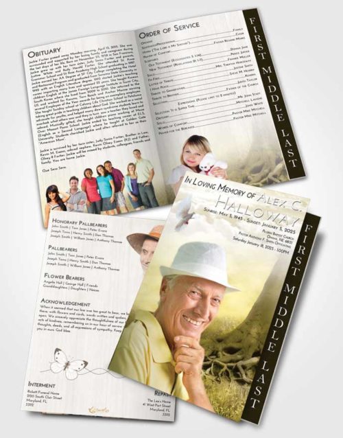2 Page Graduated Step Fold Funeral Program Template Brochure Harmony Deep Roots