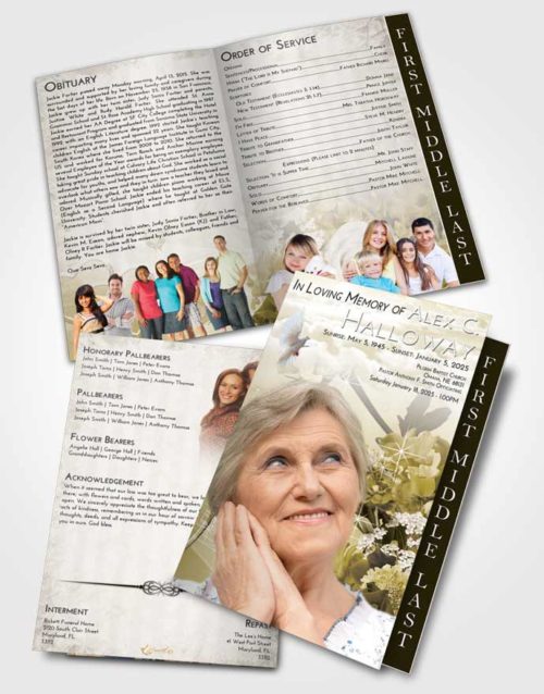 2 Page Graduated Step Fold Funeral Program Template Brochure Harmony Floral Wonderland
