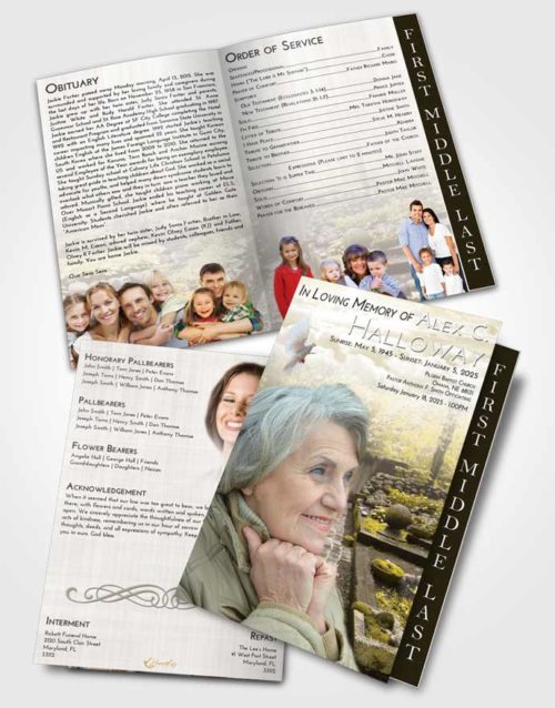 2 Page Graduated Step Fold Funeral Program Template Brochure Harmony Gardening Desire