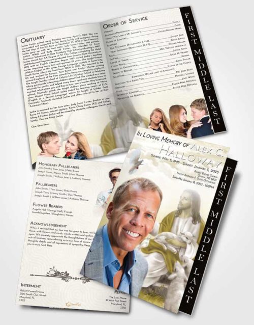 2 Page Graduated Step Fold Funeral Program Template Brochure Harmony Jesus in the Sky