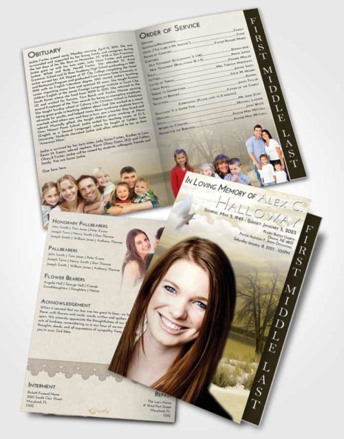 2 Page Graduated Step Fold Funeral Program Template Brochure Harmony Lovely Lake