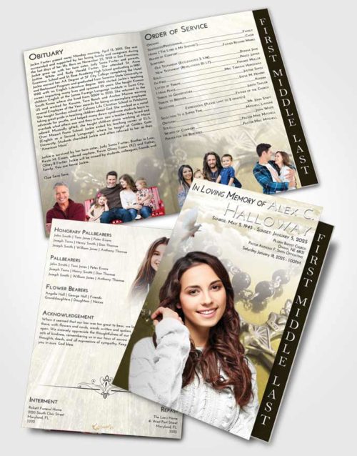 2 Page Graduated Step Fold Funeral Program Template Brochure Harmony Rosary Faith