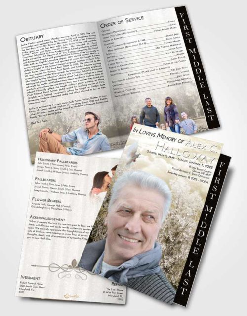 2 Page Graduated Step Fold Funeral Program Template Brochure Harmony Snowy Love