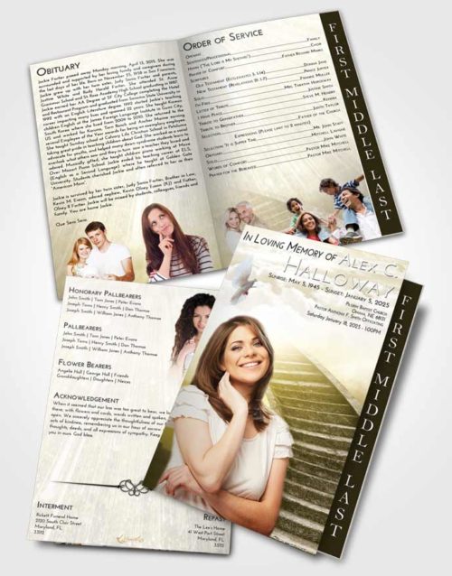 2 Page Graduated Step Fold Funeral Program Template Brochure Harmony Stairway to Magnificence