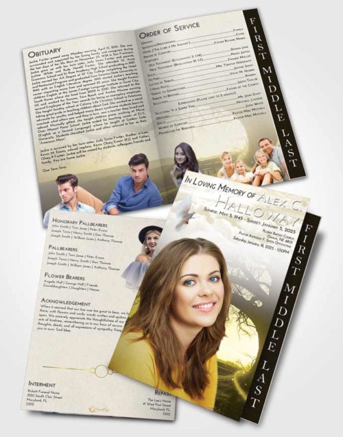 2 Page Graduated Step Fold Funeral Program Template Brochure Harmony Tree Serenity