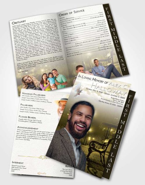 2 Page Graduated Step Fold Funeral Program Template Brochure Harmony Vintage Walk