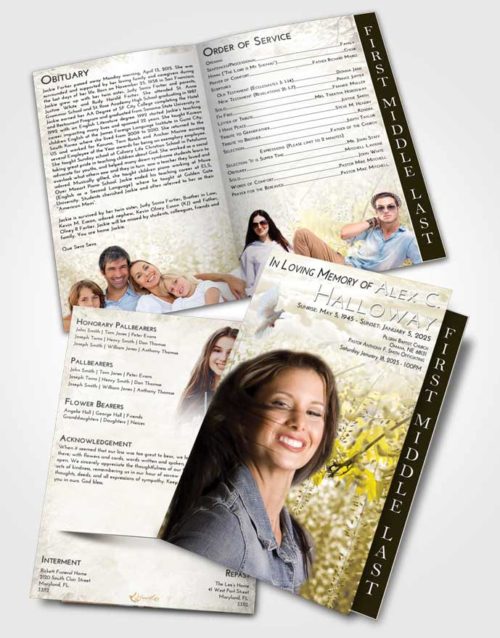 2 Page Graduated Step Fold Funeral Program Template Brochure Harmony Whispering Flowers