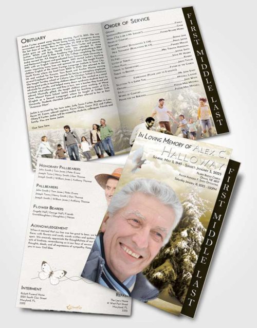 2 Page Graduated Step Fold Funeral Program Template Brochure Harmony Winter Wonderland