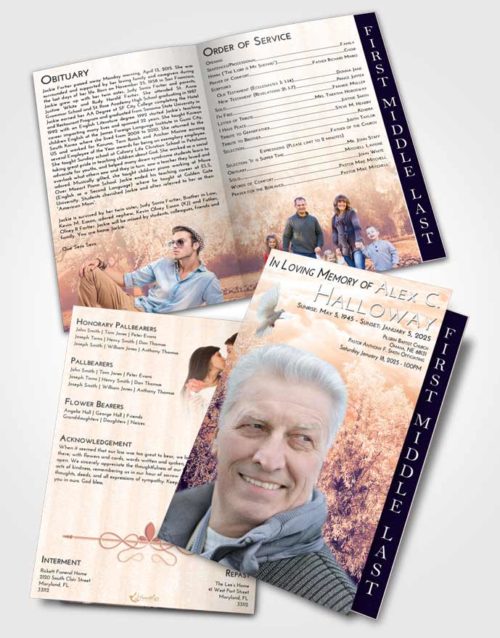 2 Page Graduated Step Fold Funeral Program Template Brochure Lavender Sunset Snowy Love