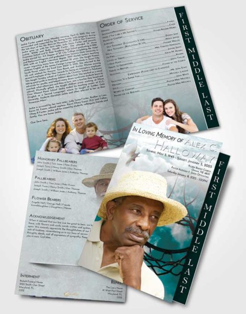 2 Page Graduated Step Fold Funeral Program Template Brochure Loving Embrace Sky Ball