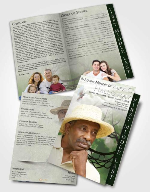 2 Page Graduated Step Fold Funeral Program Template Brochure Loving Sky Ball