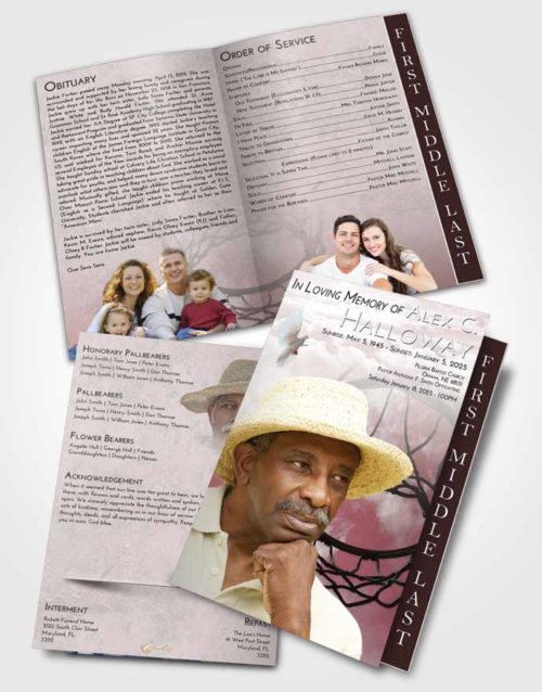 2 Page Graduated Step Fold Funeral Program Template Brochure Morning Sky Ball