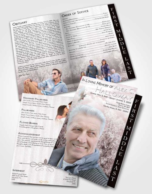 2 Page Graduated Step Fold Funeral Program Template Brochure Morning Snowy Love