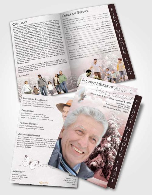 2 Page Graduated Step Fold Funeral Program Template Brochure Morning Winter Wonderland