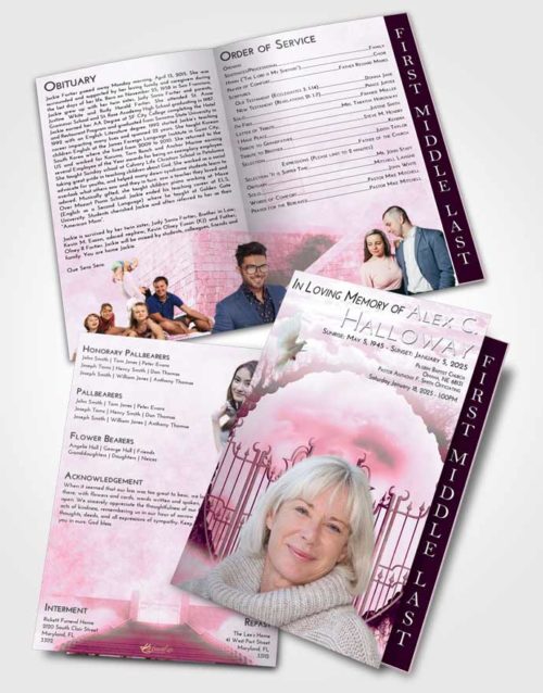 2 Page Graduated Step Fold Funeral Program Template Brochure Pink Faith Mystical Gates of Heaven