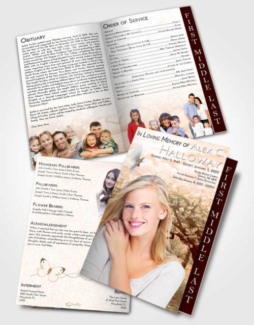 2 Page Graduated Step Fold Funeral Program Template Brochure Soft Dusk Flowering Path