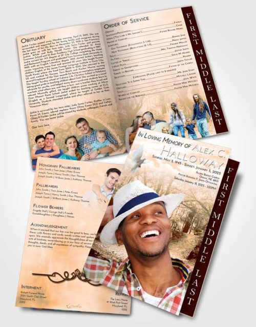 2 Page Graduated Step Fold Funeral Program Template Brochure Soft Dusk Forest Bridge