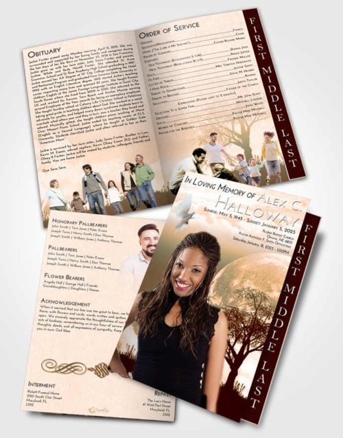 2 Page Graduated Step Fold Funeral Program Template Brochure Soft Dusk Moon Peace