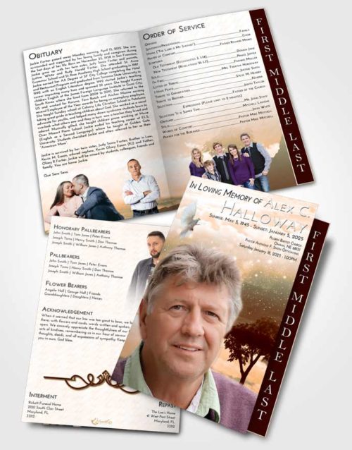 2 Page Graduated Step Fold Funeral Program Template Brochure Soft Dusk Scenic Sky