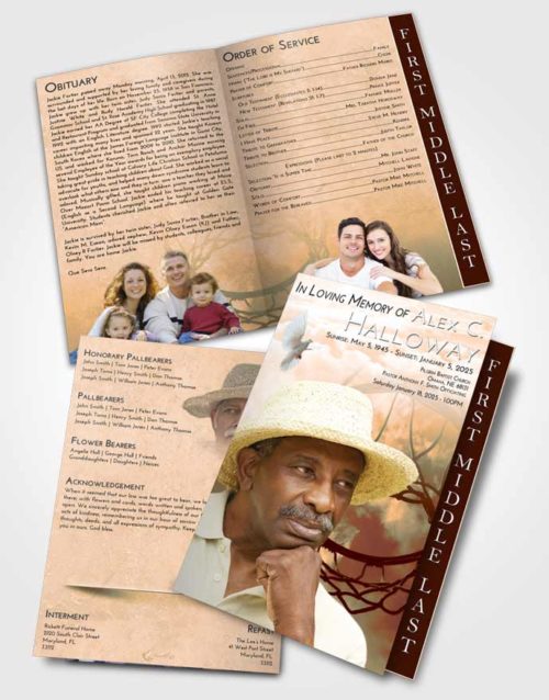 2 Page Graduated Step Fold Funeral Program Template Brochure Soft Dusk Sky Ball