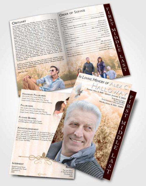 2 Page Graduated Step Fold Funeral Program Template Brochure Soft Dusk Snowy Love