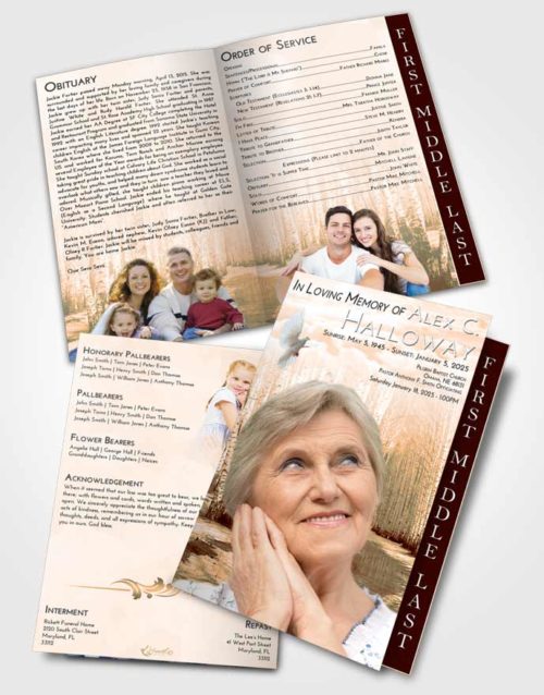 2 Page Graduated Step Fold Funeral Program Template Brochure Soft Dusk Snowy Stream