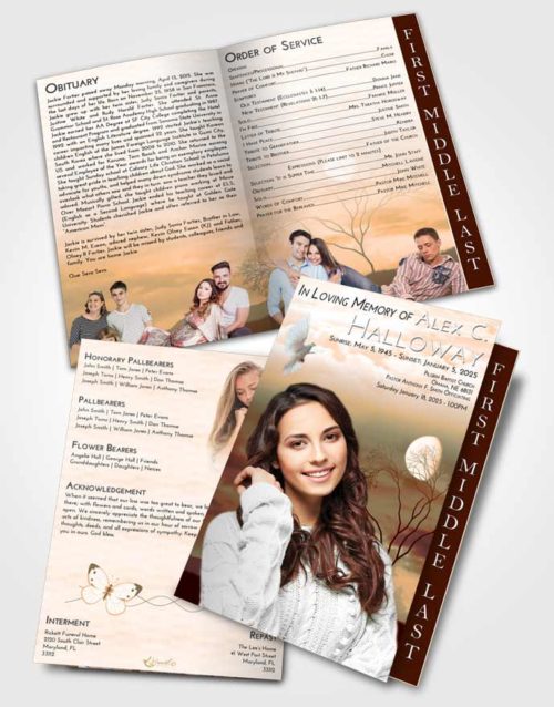 2 Page Graduated Step Fold Funeral Program Template Brochure Soft Dusk Soft Moonlight