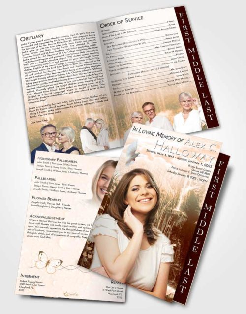 2 Page Graduated Step Fold Funeral Program Template Brochure Soft Dusk Waterfall Breeze
