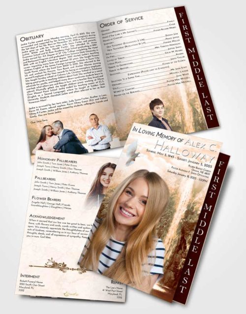 2 Page Graduated Step Fold Funeral Program Template Brochure Soft Dusk Waterfall Happiness