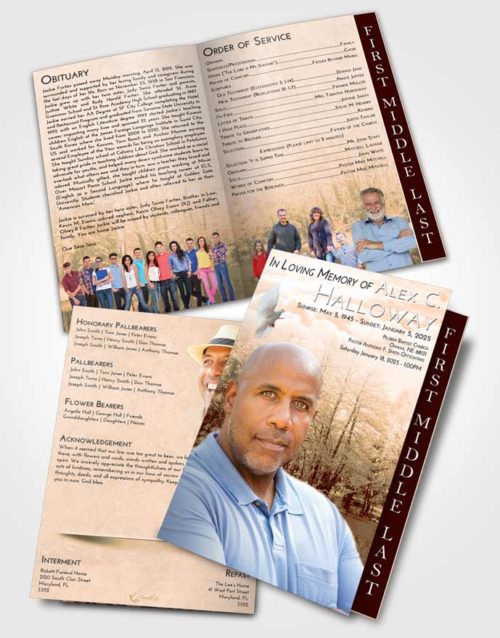 2 Page Graduated Step Fold Funeral Program Template Brochure Soft Dusk Winter Pond
