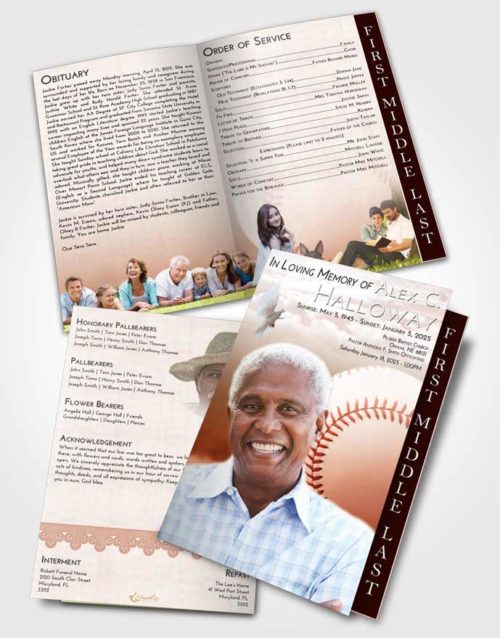 2 Page Graduated Step Fold Funeral Program Template Brochure Strawberry Love Baseball Victory