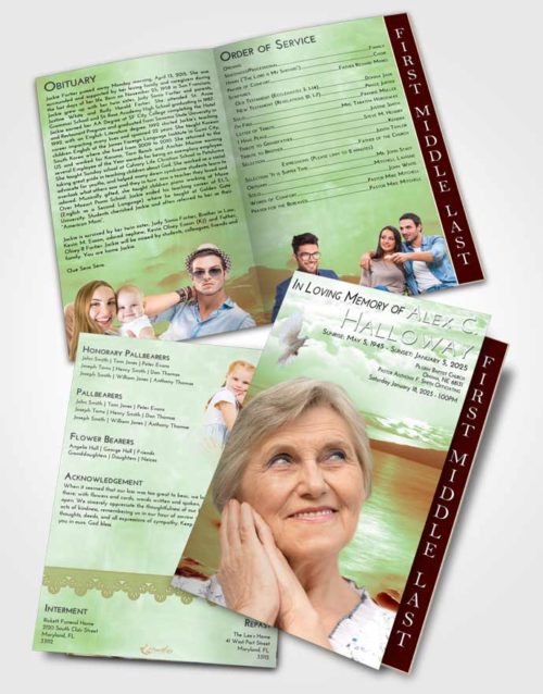 2 Page Graduated Step Fold Funeral Program Template Brochure Strawberry Mist Lake Front