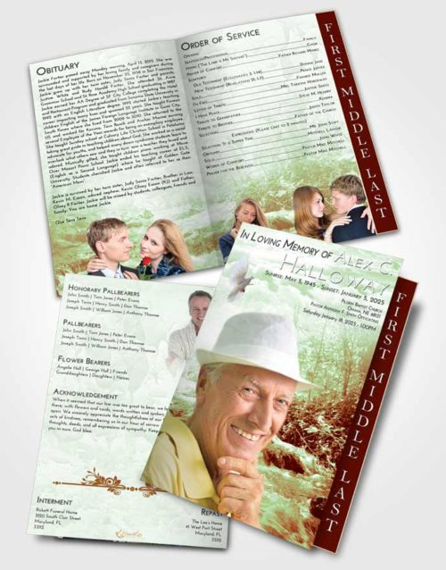 2 Page Graduated Step Fold Funeral Program Template Brochure Strawberry Mist Silver Stream
