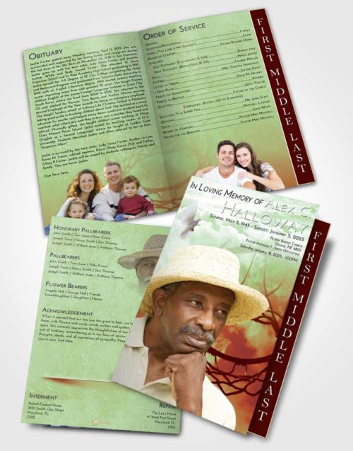2 Page Graduated Step Fold Funeral Program Template Brochure Strawberry Mist Sky Ball